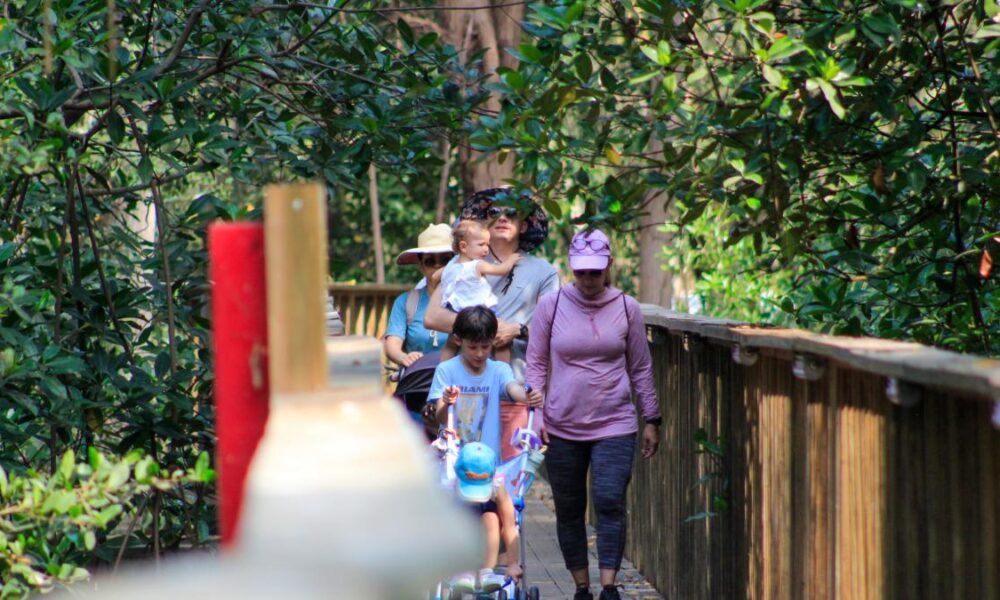PLANES PARA LOS QUE NO LES GUSTA EL CARNAVAL