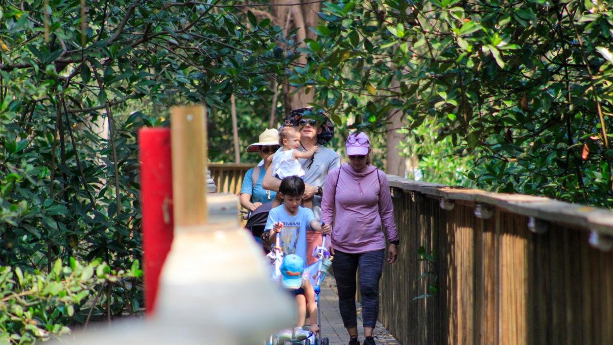 PLANES PARA LOS QUE NO LES GUSTA EL CARNAVAL