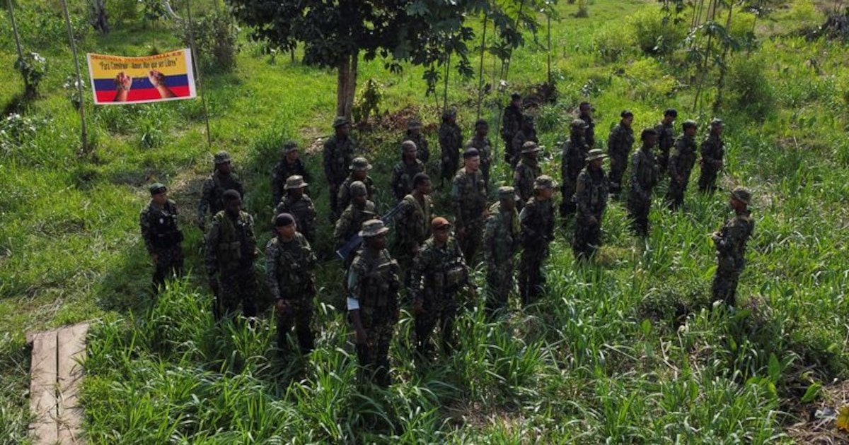 Comandos de Frontera continuarán con las conversaciones para un acuerdo de paz, a pesar de la captura de alias Araña