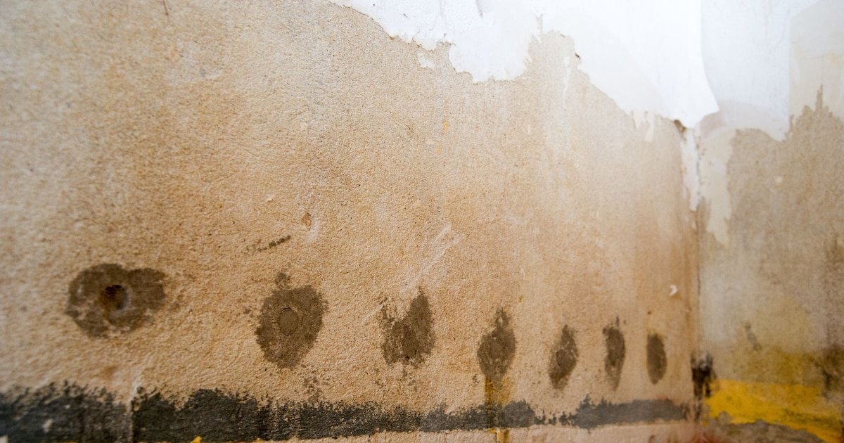 Cómo eliminar la humedad de un cuarto cerrado: este el truco casero, sencillo y económico