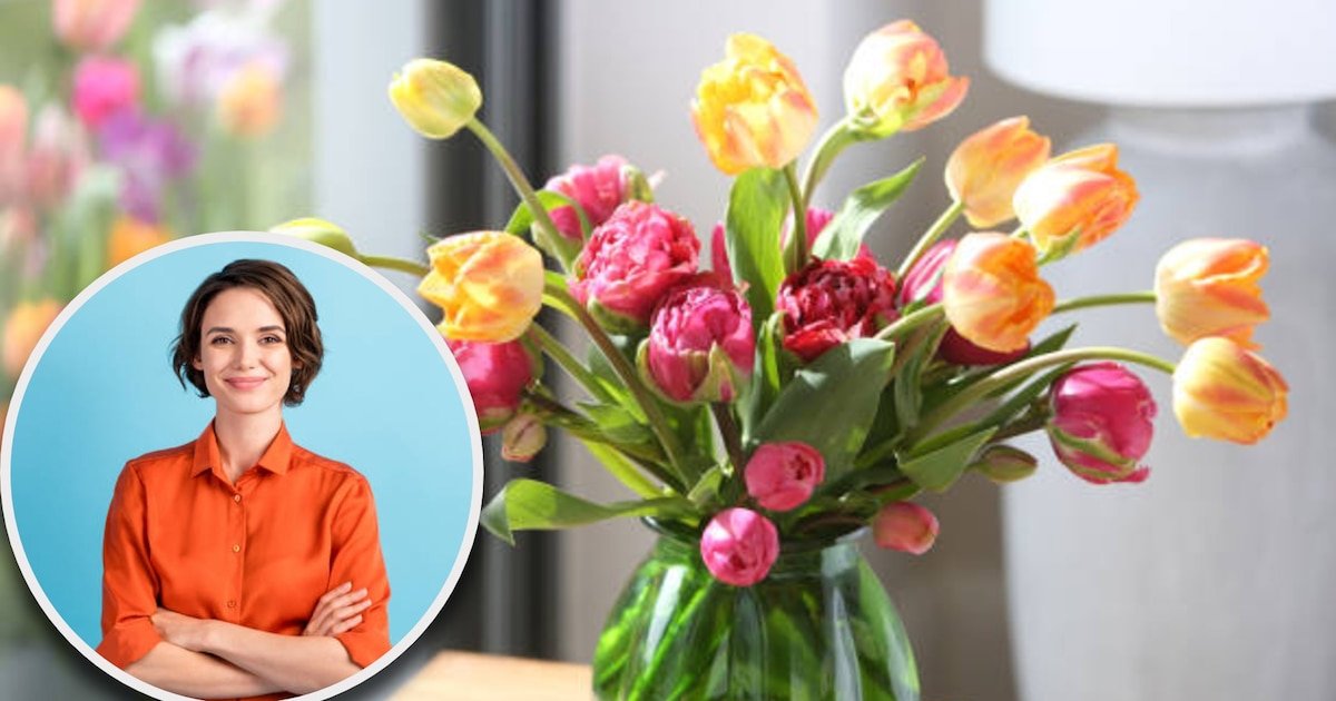 Cómo hacer florecer un tulipán en casa de manera sencilla
