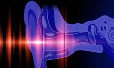 Cuáles son los “modos ocultos” en el oído humano que redefinen cómo escuchamos