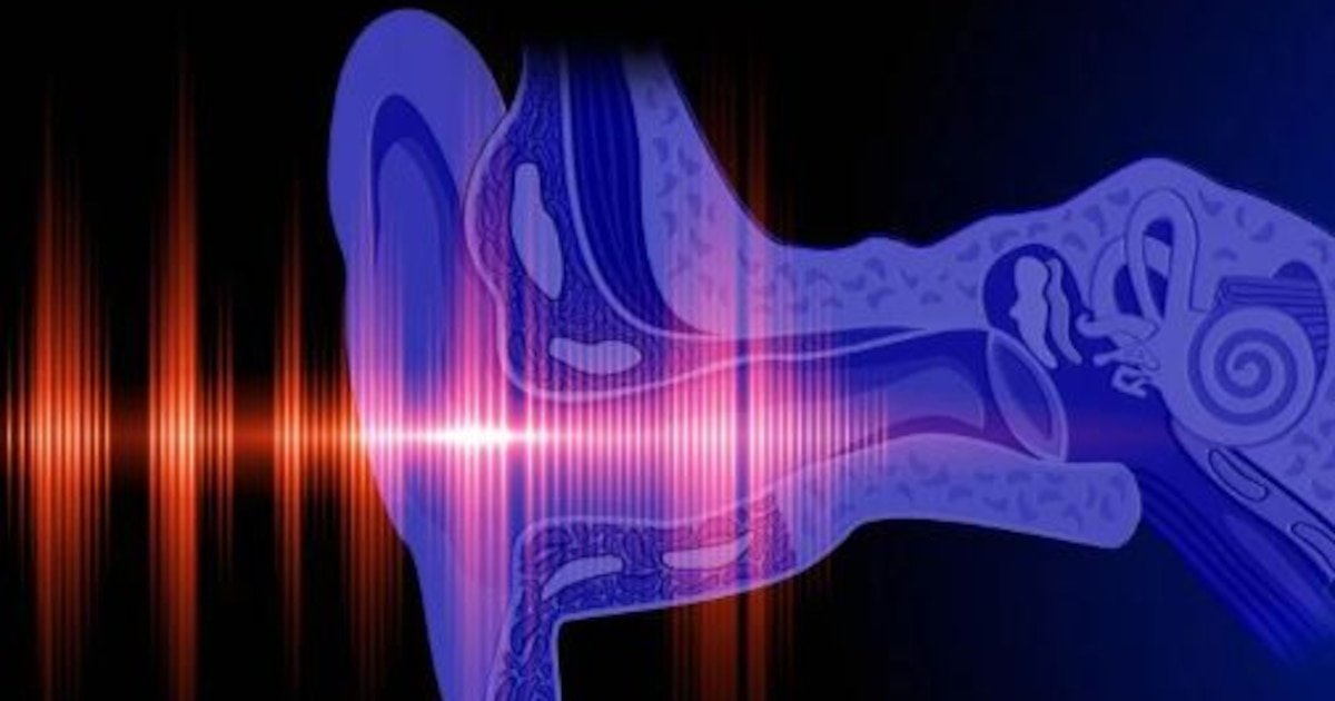 Cuáles son los “modos ocultos” en el oído humano que redefinen cómo escuchamos