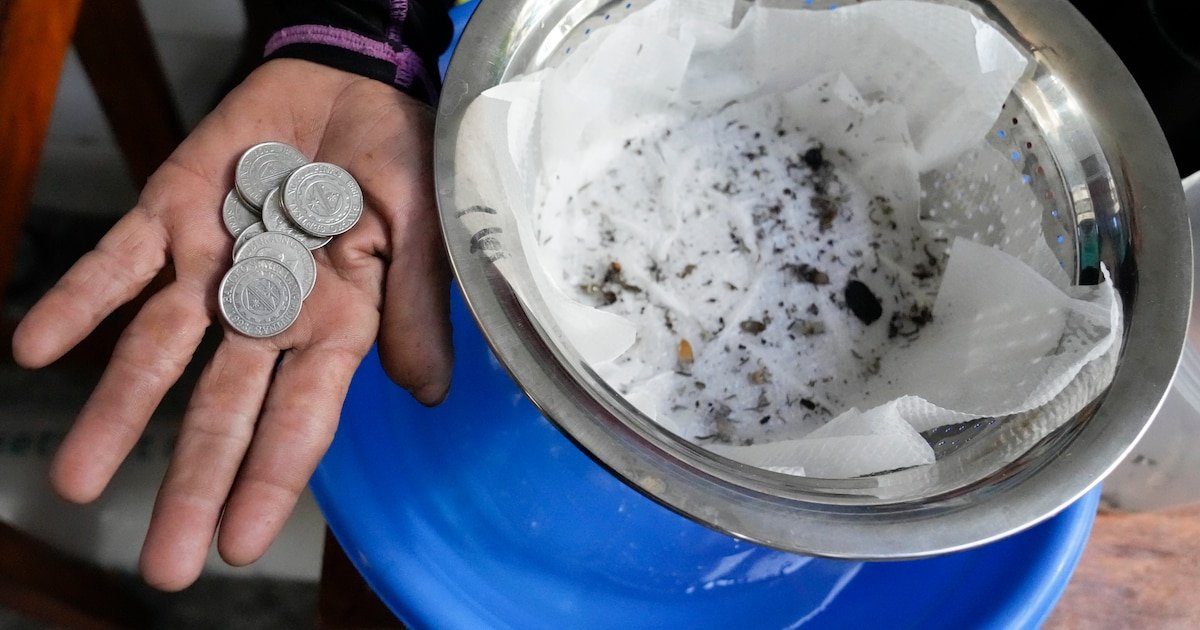 El insólito método para combatir el dengue en Filipinas: ofrecen recompensa económica por entregar mosquitos