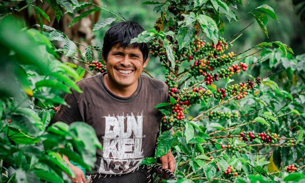 Incrementa en México 0.8 % el empleo formal anual en enero, con la creación de 73 mil 167 puestos