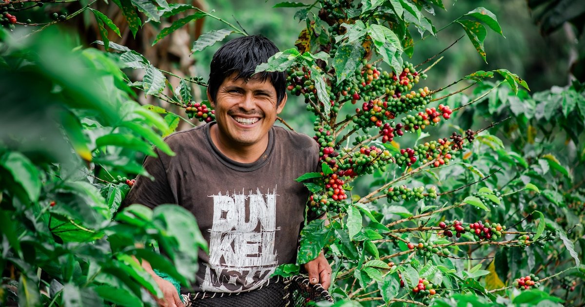 Incrementa en México 0.8 % el empleo formal anual en enero, con la creación de 73 mil 167 puestos