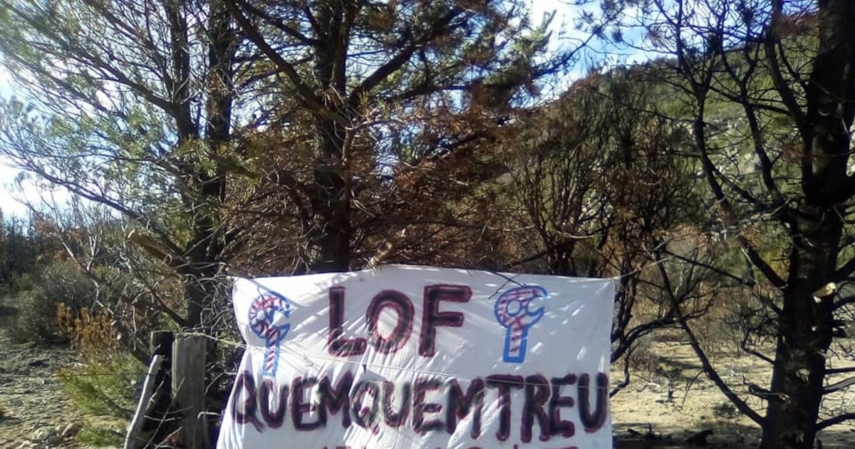 La Justicia le dio 10 días a un grupo mapuche para dejar un predio usurpado y no ser desalojados por la fuerza