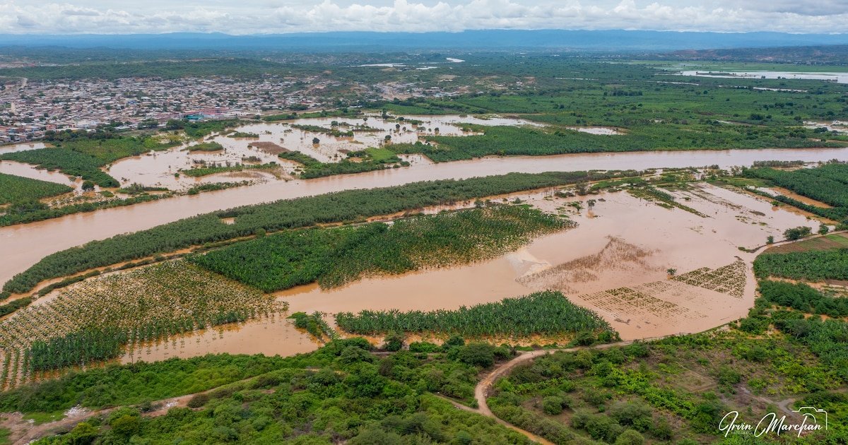 Las impactantes imágenes que va dejando el desborde el rio Tumbes: calles anegadas, cultivos destruidos y caos en la región | Senamhi | COER | Lluvias intensas | Emergencia