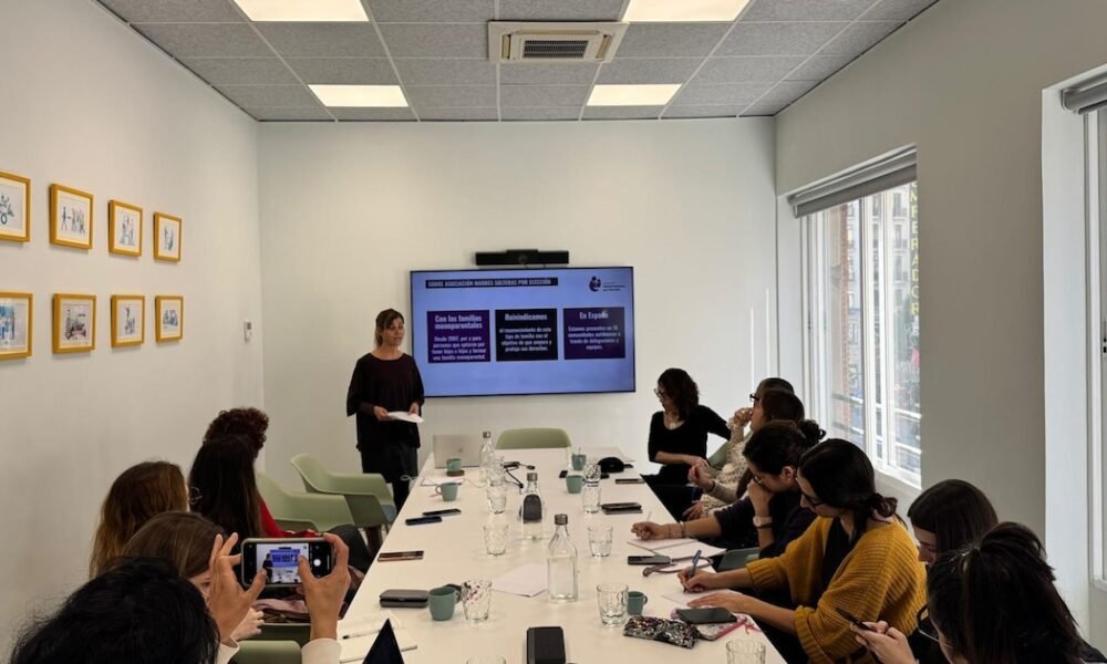 Madres solteras piden que la ley de familias amplíe a 32 semanas su permiso por nacimiento y las equipare a numerosas