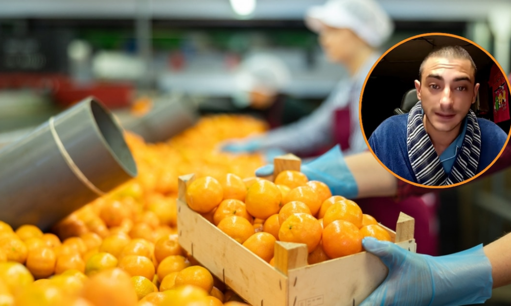 Un agricultor vende sus naranjas online para “dar educación de campo” y vender “producto español”, pero no le salen las cuentas: “Me quedan 500 euros de 4.000 kilos”