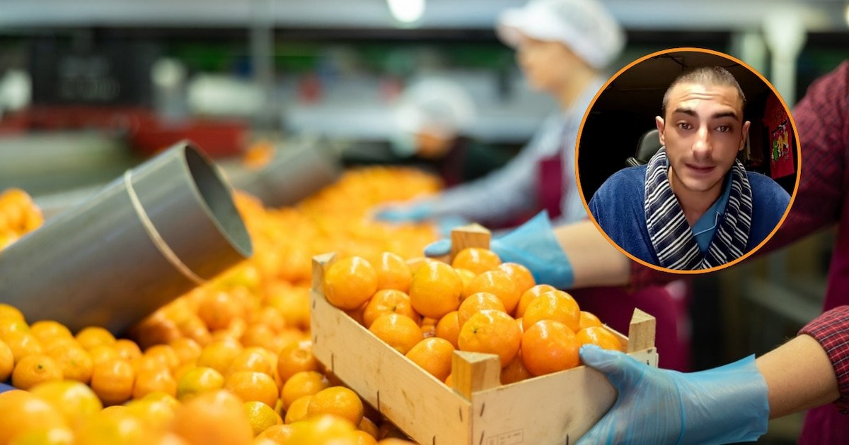 Un agricultor vende sus naranjas online para “dar educación de campo” y vender “producto español”, pero no le salen las cuentas: “Me quedan 500 euros de 4.000 kilos”