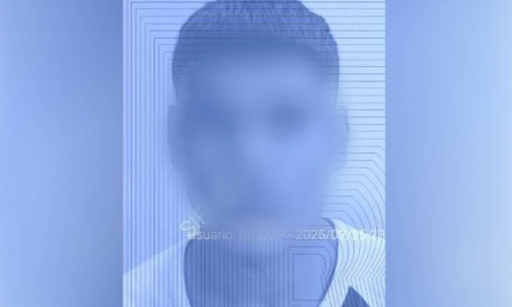 Uno de los delincuentes detenidos por el crimen de la nena en La Plata cometió el mismo delito hace menos de un mes