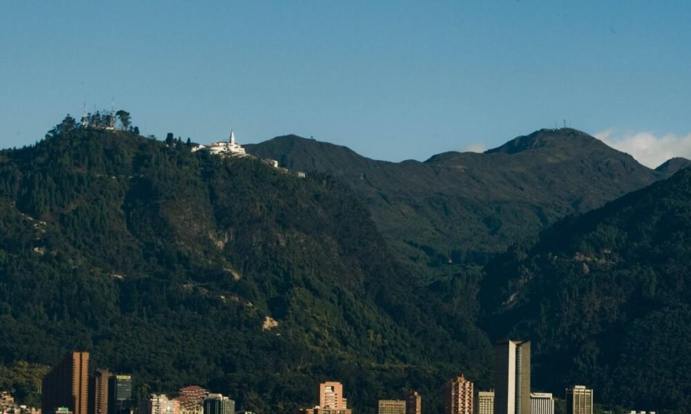 Maratón de Plantaciones en El Día Internacional de los Bosques