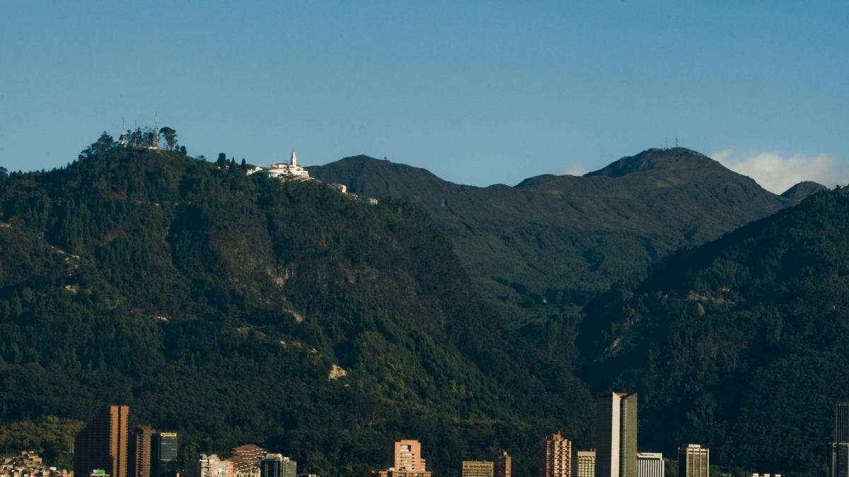 Maratón de Plantaciones en El Día Internacional de los Bosques