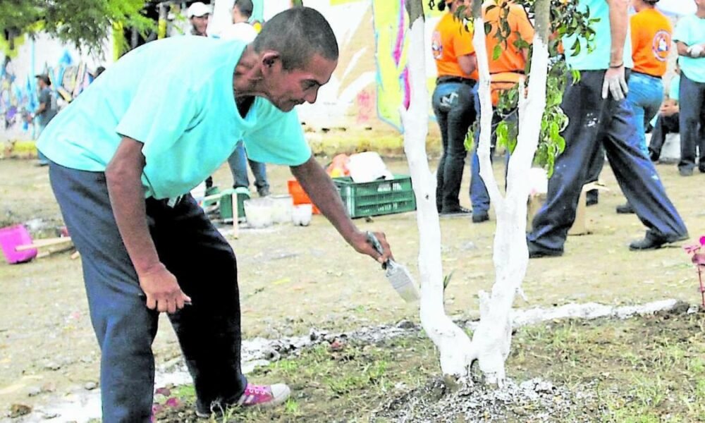 Habitantes de Calle: inclusión productiva y social
