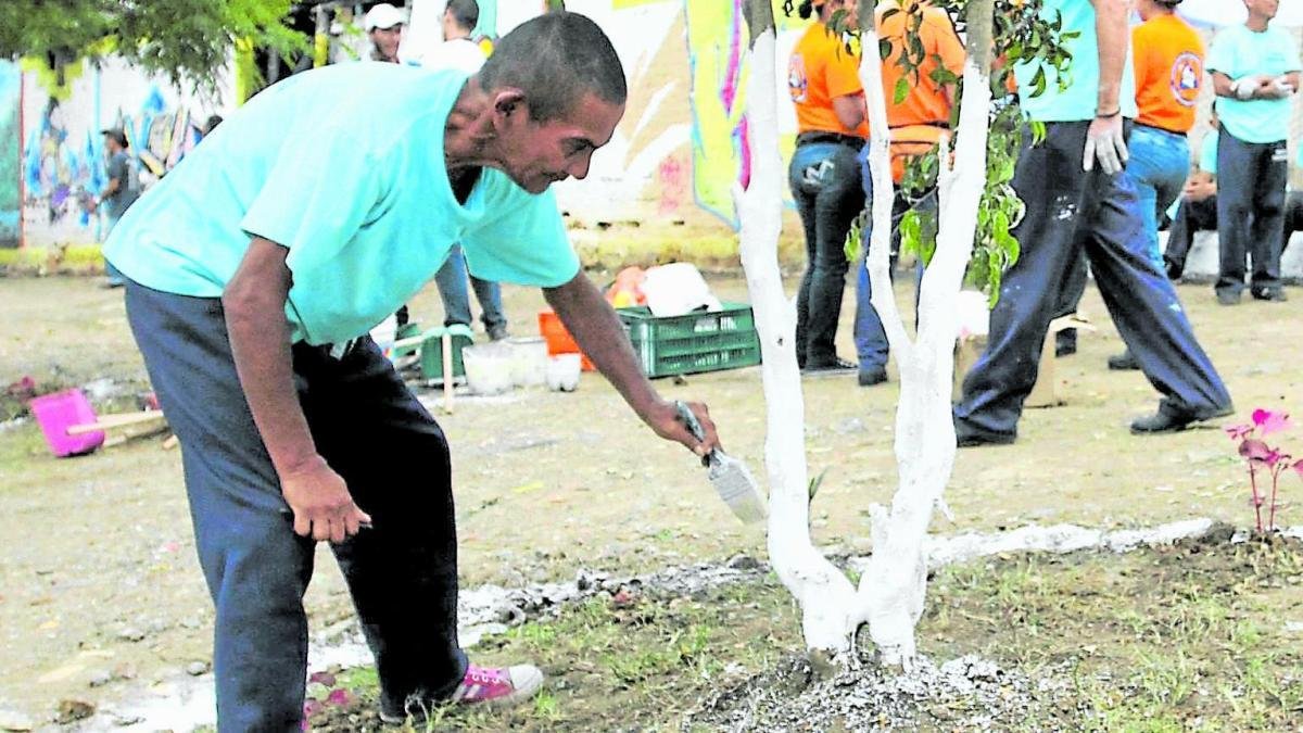 Habitantes de Calle: inclusión productiva y social