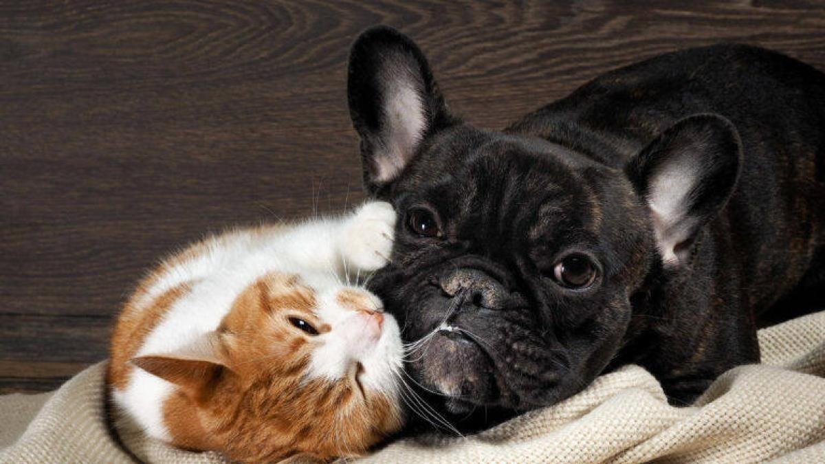 Distrito Realizará Cuatro Jornadas en el Mes de Marzo