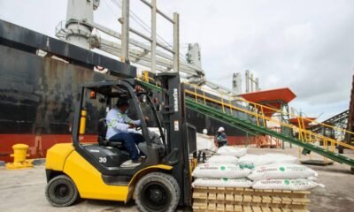 El 43% de Las Empresas Informa Crecimiento