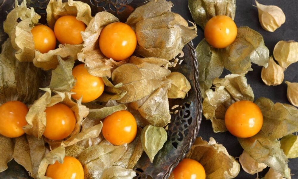 Cundinamarca se consolida como líder mundial en exportación de Uchuva