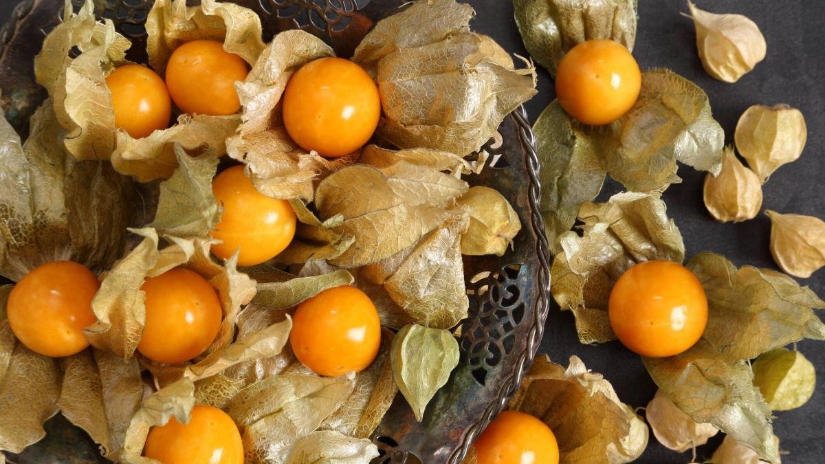 Cundinamarca se consolida como líder mundial en exportación de Uchuva