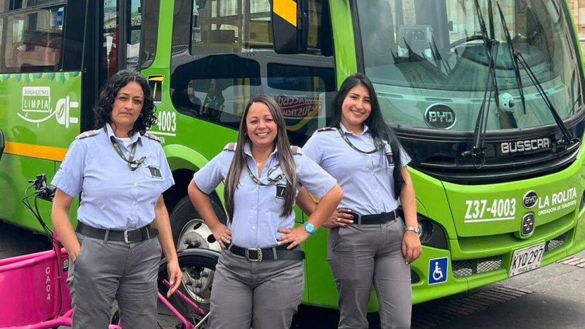 En el concepto se define el futuro de la rolita, cuyo proyecto de acuerdo para legalizarla no avanza