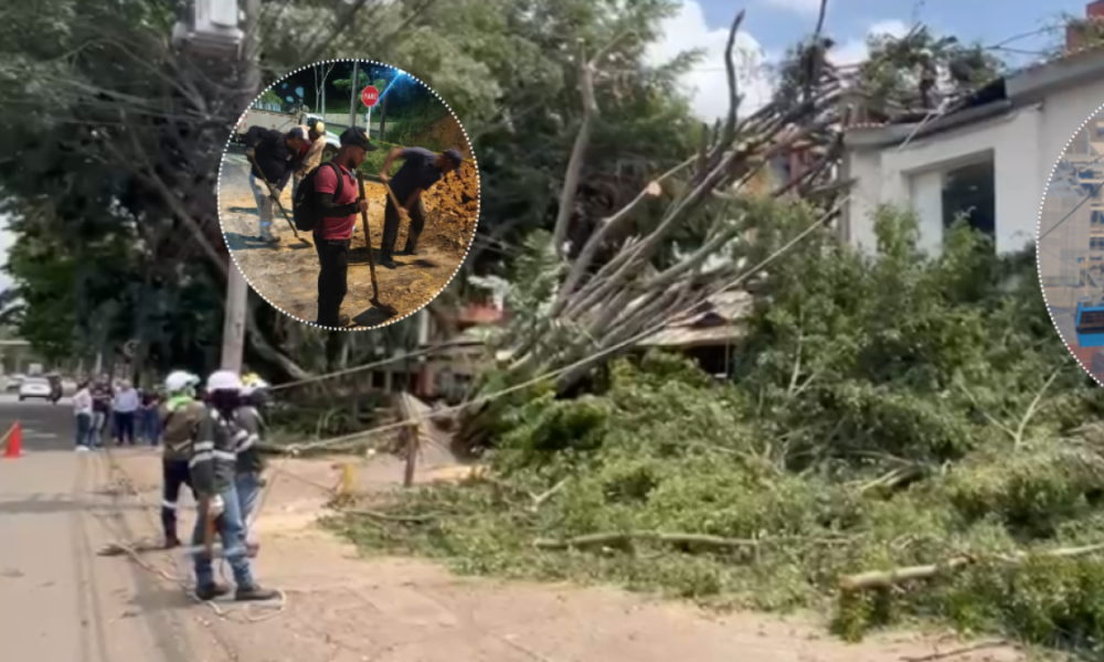 Caídas de árboles, Cierre temporal del mio cable por tormenta eléctrica y emergencias en cali por fueltes lluvias
