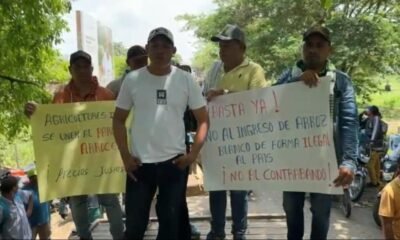 Arroceros de Sucre Protestan Por la Quiebra en la que se Encuentran ante la Pérdida de 30 mil hectáras