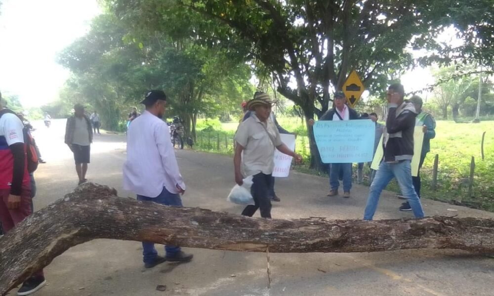 Arroceros de la Mojana y San Jorge Levatan Paro Pero Claman Soluciones Urgentes del Gobierno para Salir de Quiebra