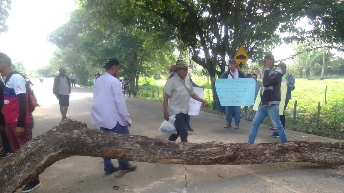 Arroceros de la Mojana y San Jorge Levatan Paro Pero Claman Soluciones Urgentes del Gobierno para Salir de Quiebra