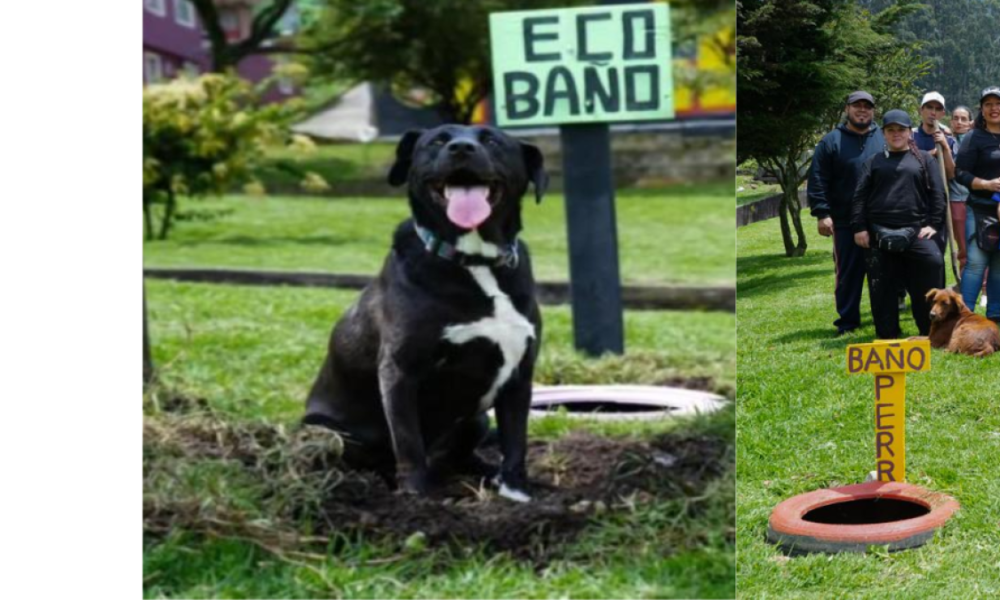 Una iniciativa para cuidar el medio ambiente