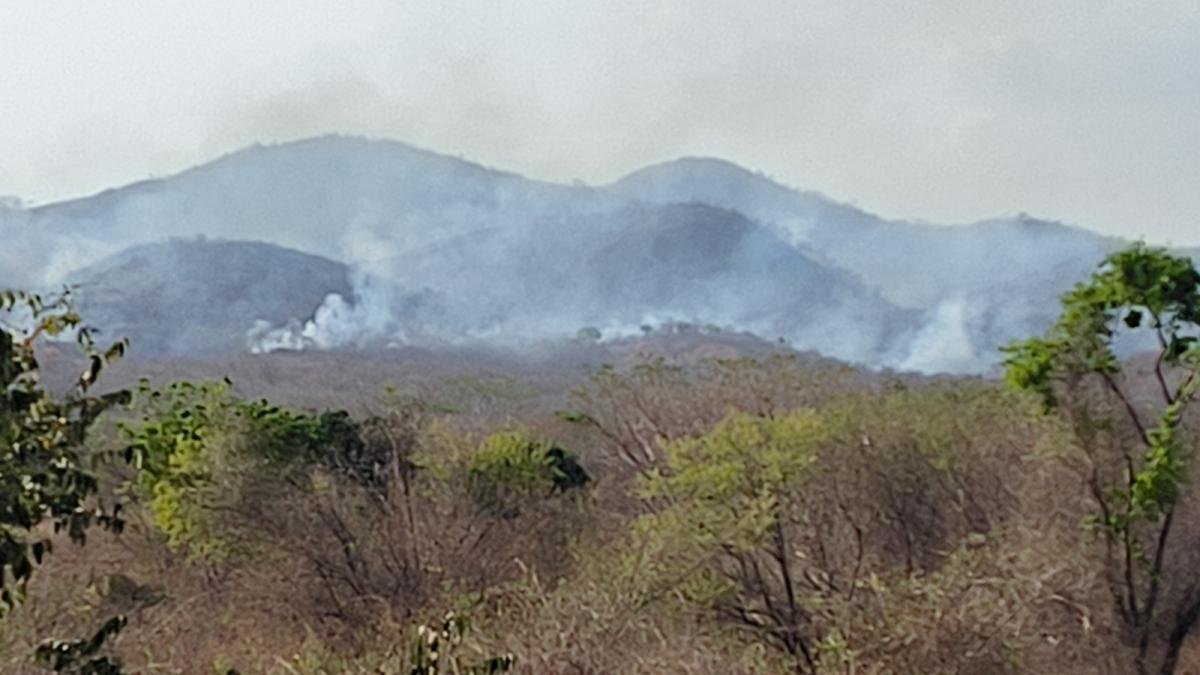 Incendios Amenazan la Falda de la Sierra Nevada de Santa Marta y Comunidadas Campesinas de Caracolí y ValledUpar