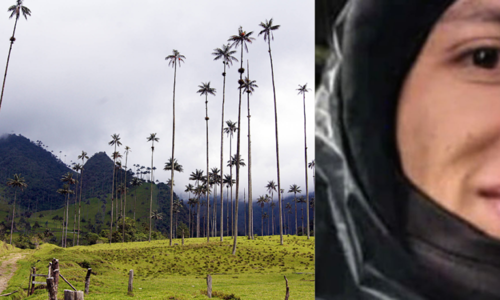 Lo que salvó a turista que estuvo perdido por horas en el valle del cocora: tenía signos de hipotermia