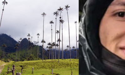 Lo que salvó a turista que estuvo perdido por horas en el valle del cocora: tenía signos de hipotermia