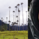 Lo que salvó a turista que estuvo perdido por horas en el valle del cocora: tenía signos de hipotermia
