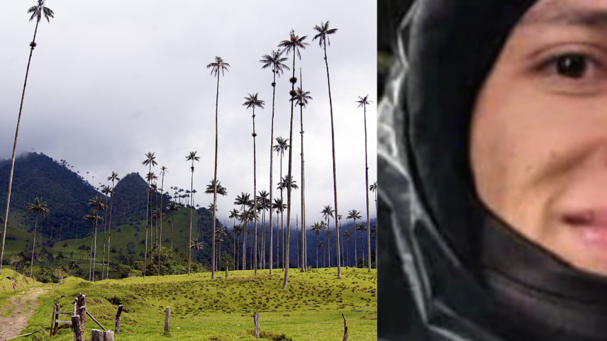 Lo que salvó a turista que estuvo perdido por horas en el valle del cocora: tenía signos de hipotermia