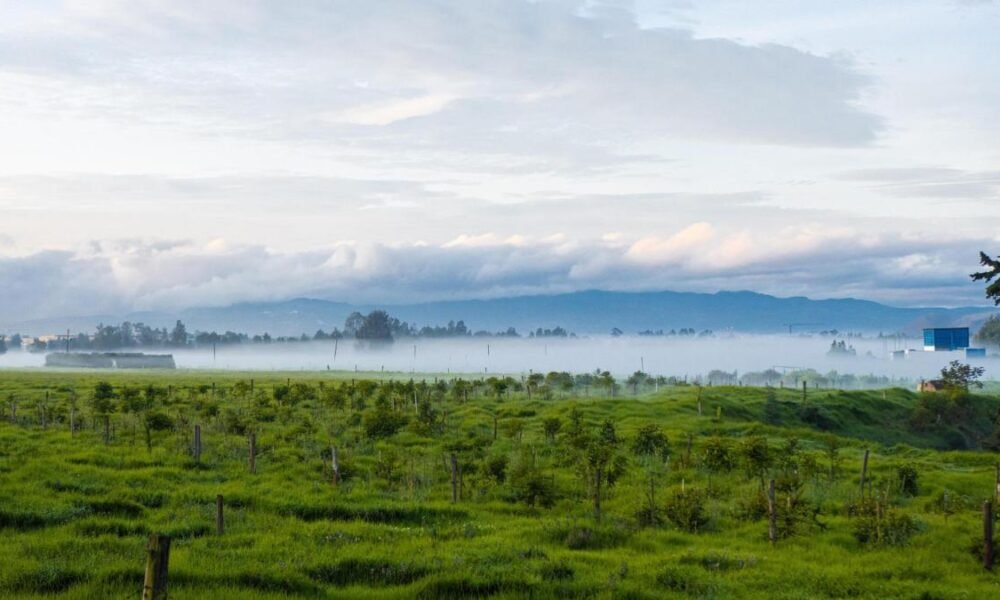 'Resolució del Minambiente Genera Grave Restricción en el Desarrollo de Municipios y Bogotá': Gobernador Rey