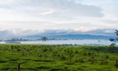 'Resolució del Minambiente Genera Grave Restricción en el Desarrollo de Municipios y Bogotá': Gobernador Rey