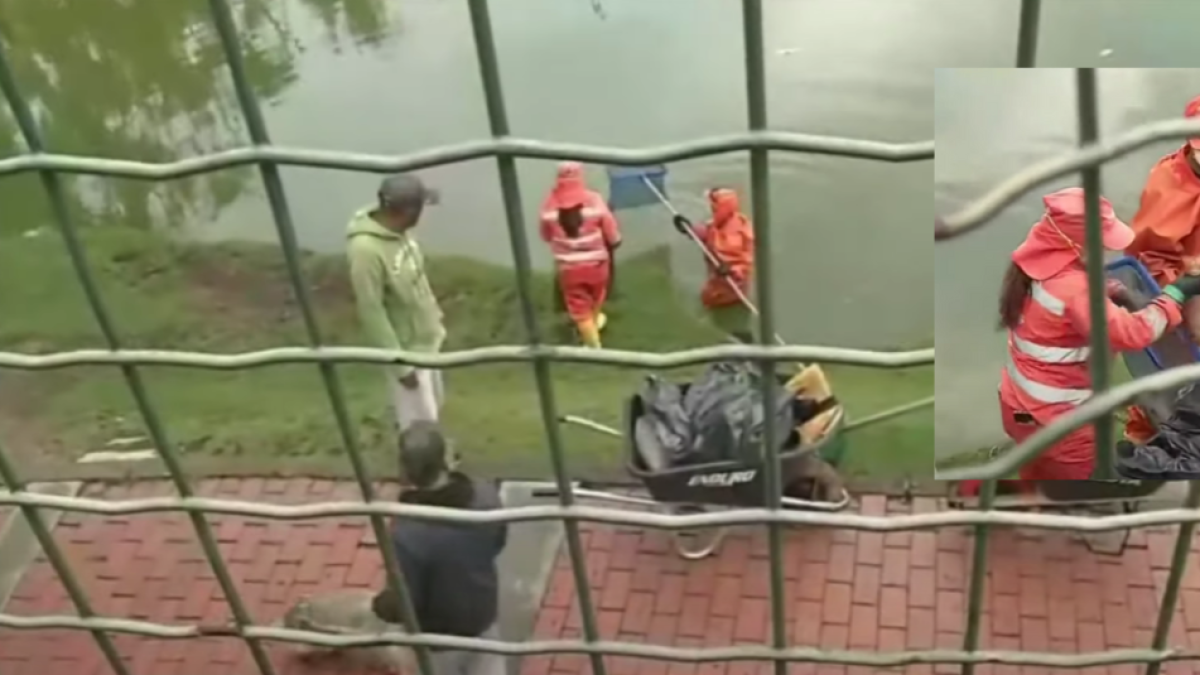Preocupacia en bogotá por muerte masiva de peces en el lago timiza de kennedy; Indagan Causas de Daño Ambiental