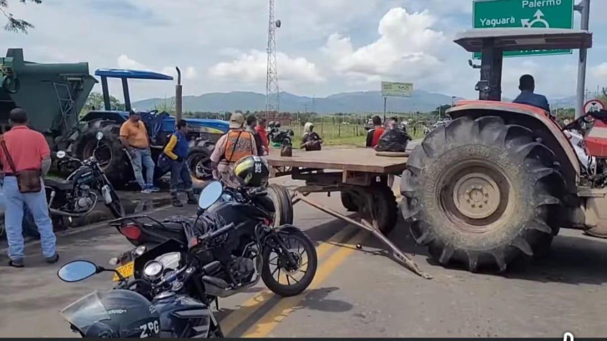 Paro ArroCero en Colombia | Cultivadores del Norte de Casanare se Unieron a la Protesta Nacional: ¿cómo avanza?