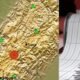 Servicio Geológico Colombiano Entregó Magnitud, Profundidad y Más Detalles