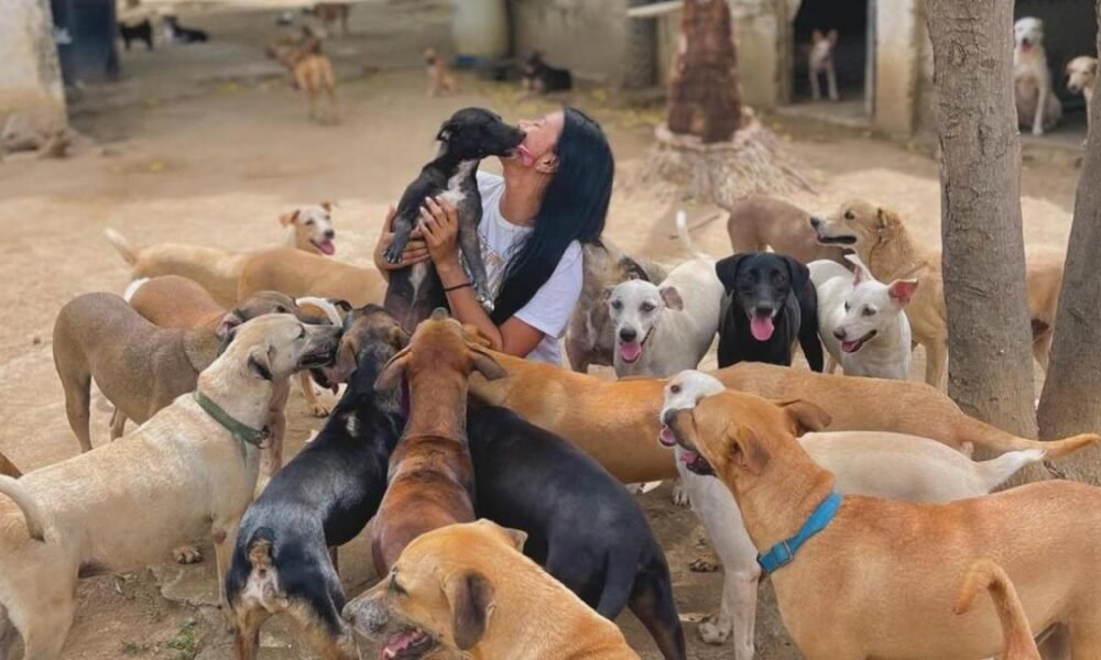ENVENENAN PERROS Y OBDUDA A UN REFUGIO A CERRAR SUS PUERTAS EN SANTA MARTA