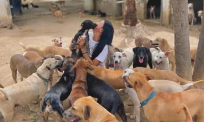 ENVENENAN PERROS Y OBDUDA A UN REFUGIO A CERRAR SUS PUERTAS EN SANTA MARTA