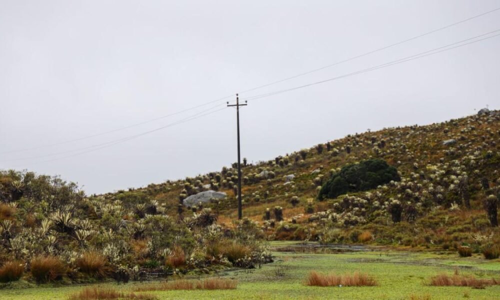 Expertos Opinan Sobre Resolución de Ordenamiento Ambiental de la Sabana de Bogotá.