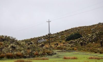 Expertos Opinan Sobre Resolución de Ordenamiento Ambiental de la Sabana de Bogotá.