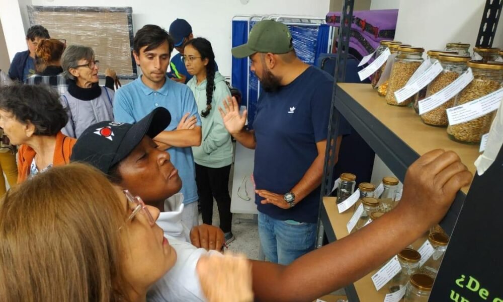 Con prénstamos se multiplican las semillas para huertas caseras en bogotá