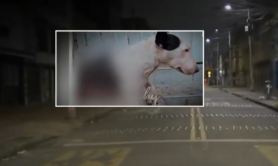 Piden Investigar y dar el responsable