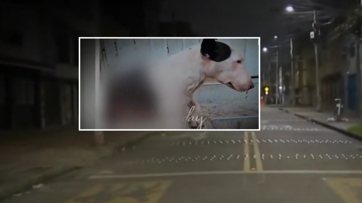 Piden Investigar y dar el responsable