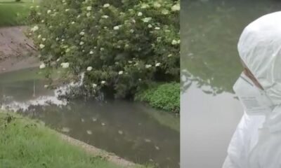 Encuentran cuerpo en el Humedal Jaboque: La Vícima Estaba Flotando