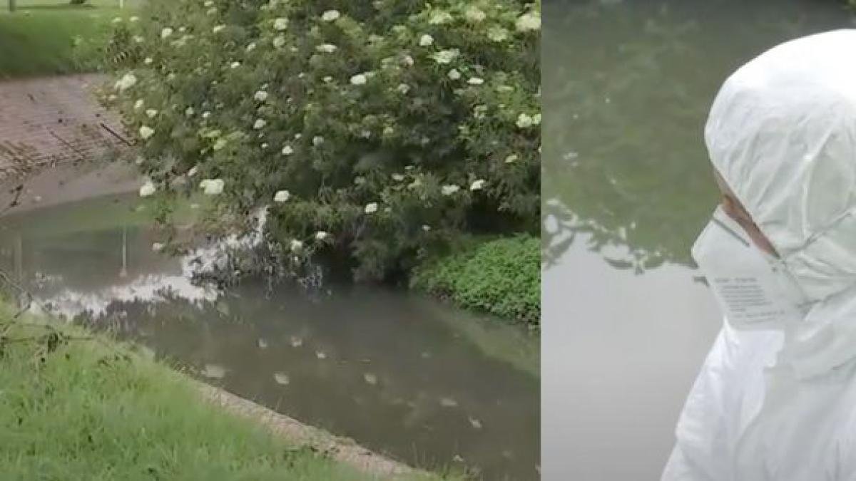 Encuentran cuerpo en el Humedal Jaboque: La Vícima Estaba Flotando