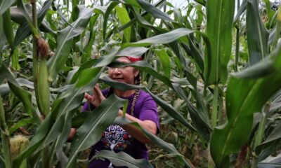ImpactO de las Mujeres en la economía local